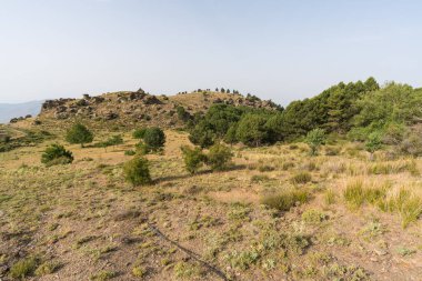 İspanya 'nın güneyindeki Sierra Nevada' nın dağlık arazisi. Çam ormanları, kayalar ve çalılar var. Gökyüzü açık.