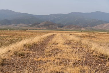 Dağa giden eski toprak yol, kuru otlar var ve gökyüzü temiz.