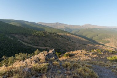 Güney İspanya 'da Sierra Nevada dağları, Çam ormanı var, gökyüzü açık
