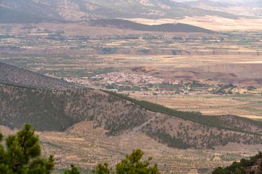 İspanya 'nın güneyindeki Alquife madencilik kasabasında çam ormanı ve bir ova var.