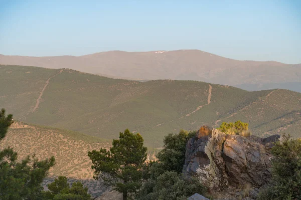 Spanya Nın Güneyindeki Sierra Nevada Dağları Dağın Tepesinde Çam Ormanı — Stok fotoğraf