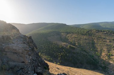 Güney İspanya 'da Sierra Nevada dağları, Çam ormanı var, gökyüzü açık