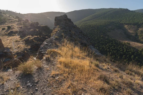 Güney İspanya 'da Sierra Nevada, ağaçlar ve çalılar var, taşlar ve kayalar var, gökyüzü açık ve güneş yükseliyor..
