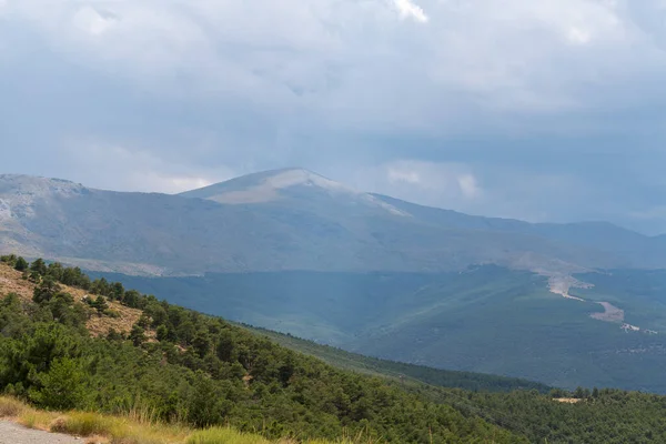 Krajobraz Górski Sierra Nevada Południowej Hiszpanii Lasy Sosnowe Trawa Niebie — Zdjęcie stockowe