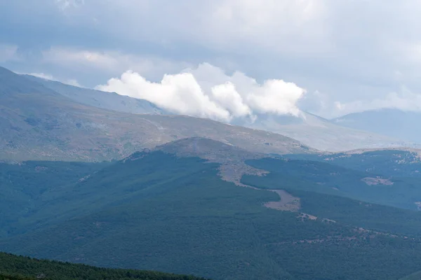 İspanya 'nın güneyindeki Sierra Nevada' nın dağlık arazisi. Çam ormanları, çimenler, gökte bulutlar var.