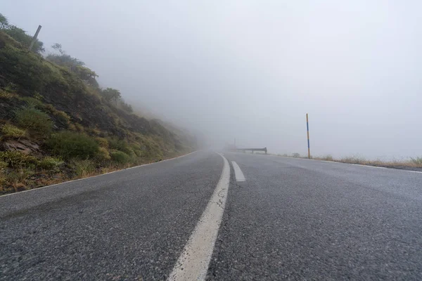 Sierra Nevada 'daki yüksek dağ yolunda bir işaret var, bitki örtüsü ve sis var.