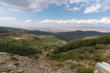 İspanya 'nın güneyindeki Sierra Nevada' nın dağlık arazisi. Çam ormanları, çimenler, gökte bulutlar var.