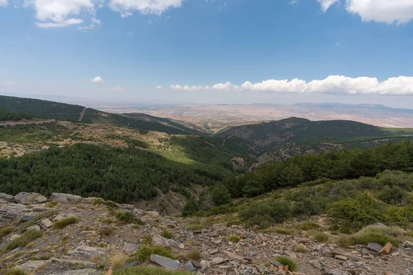 南スペインのシエラネバダ山脈の山岳風景は 松林があり 草は乾燥しており 空には雲があります — ストック写真