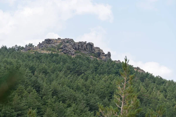 Dennenbos Sierra Nevada Zuid Spanje Lucht Bewolkt — Stockfoto