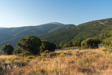 İspanya 'nın güneyindeki Sierra Nevada' nın dağlık bölgelerinde çalılar ve çam ormanları var. Yol geçitleri var, taşlar var ve gökyüzü açık.