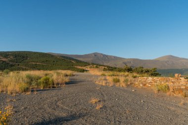 İspanya 'nın güneyindeki Sierra Nevada' da dağ arazisi, çalılar ve çam ormanı var, taşlar var ve gökyüzü açık.