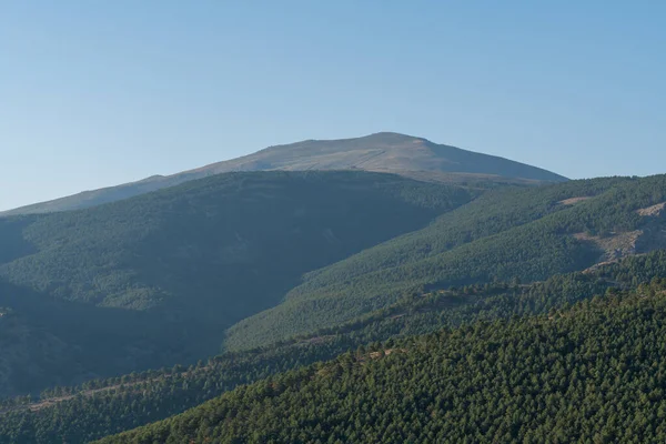 Obszar Górski Sierra Nevada Południowej Hiszpanii Krzaki Las Sosnowy Skały — Zdjęcie stockowe