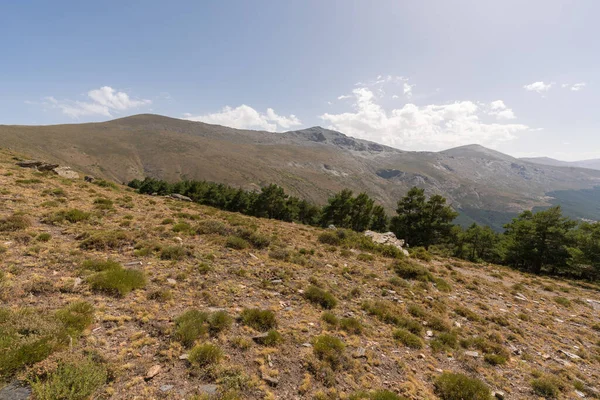 Güney İspanya 'da Sierra Nevada' nın dağlık arazisi, bir çam ormanı, çalılar ve çimenler var, taşlar var ve gökyüzünde bulutlar var.