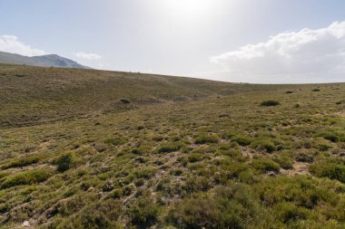 Sierra Nevada 'daki dar toprak yol, bitki örtüsü ve taşlar, dağlık bir bölge ve gökyüzünde bulutlar var.
