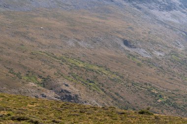 Güney İspanya 'da Sierra Nevada' nın dağlık arazisi, çalılar ve çimenler var, taşlar ve kayalar var.