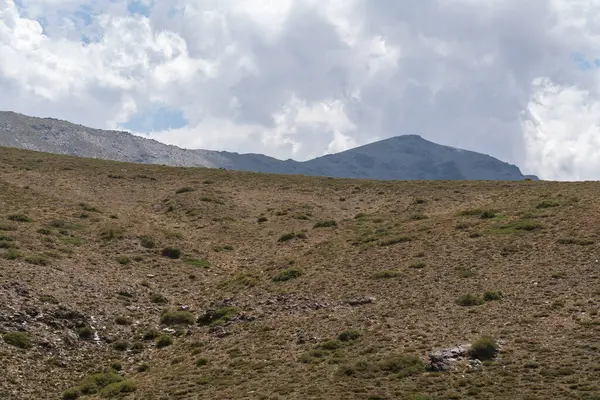 Güney Spanya Sierra Nevada Nın Dağlık Arazisi Çalılar Çimenler Var — Stok fotoğraf