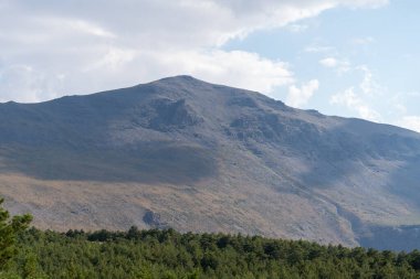 Güney İspanya 'da Sierra Nevada' nın dağlık arazisi, çam ormanı, çalılar ve çimenler var, taşlar var, gökyüzü bulutlu.