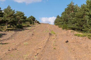 Güney İspanya 'da Sierra Nevada' da bir çam ormanı, çalılar ve çimenler, taşlar, dağlar ve gökyüzünde bulutlar var.