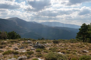 Güney İspanya 'da Sierra Nevada' nın dağlık arazisi, çam ormanı, çalılar ve çimenler var, taşlar var, gökyüzü bulutlu.