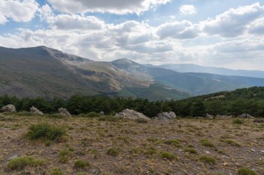 Güney İspanya 'da Sierra Nevada' nın dağlık arazisi, çam ormanı, çalılar ve çimenler, taşlar ve kayalar var, gökyüzünde bulutlar var.