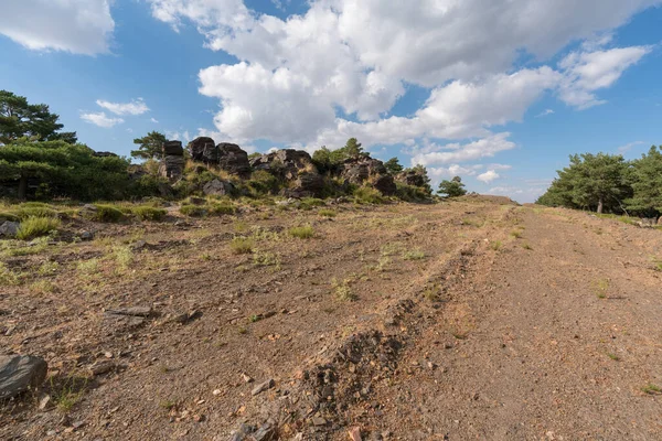 Güney İspanya 'da Sierra Nevada' da bir çam ormanı, çalılar ve çimenler, taşlar, dağlar ve gökyüzünde bulutlar var.