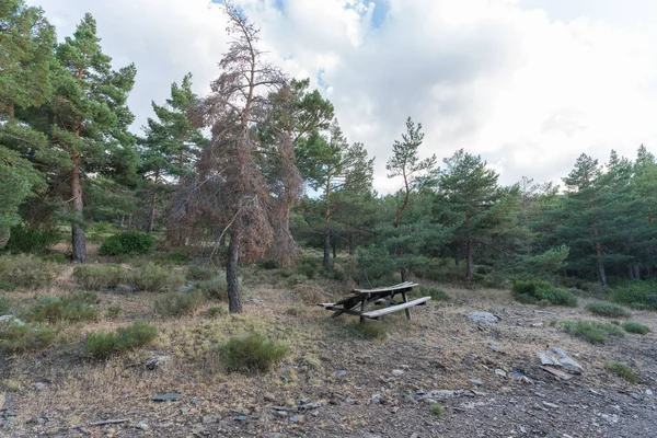 old picnic table in the Sierra Nevada mountain, the table is made of wood, there are trees and grass, there are stones, the sky has cloud