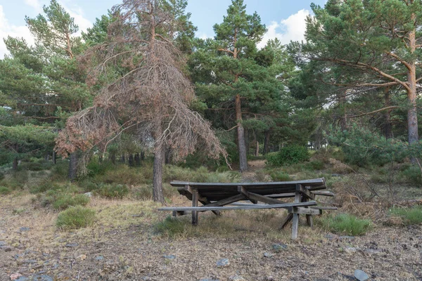 old picnic table in the Sierra Nevada mountain, the table is made of wood, there are trees and grass, there are stones, the sky has cloud