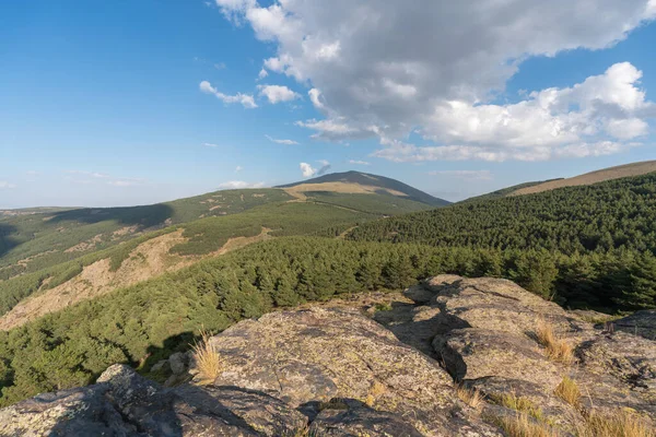 pine forest in Sierra Nevada in southern Spain, there are bushes and rock formations, the sky  has cloud