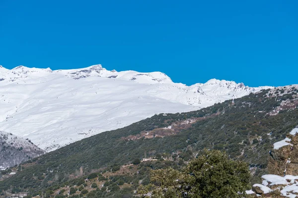 Sierra Nevada yolu karla kaplı, dağlar karlı, ağaçlar ve çalılar var, gökyüzü açık.
