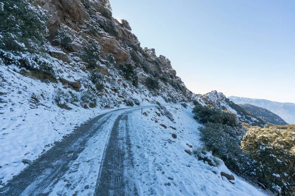 Sierra Nevada yolu karla kaplı, ağaçlar ve çalılar var, kayalardan oluşan dik bir bölge, gökyüzü açık.