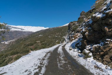 Güney İspanya 'da Sierra Nevada' dan toprak yol, ağaçlar ve çalılar var, yerde kar var, gökyüzü açık.