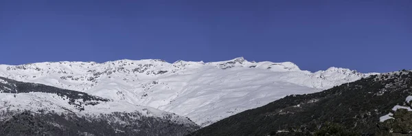 Sierra Nevada Pokryte Śniegiem Drzewa Krzewy Jest Obszar Górski Niebo — Zdjęcie stockowe