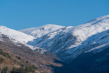 Sierra Nevada karla kaplı, ağaçlar ve çalılar var, dağlık bir bölge, gökyüzü açık.