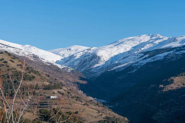 Sierra Nevada Cubierta Nieve Hay Árboles Arbustos Una Zona Montañosa — Foto de Stock