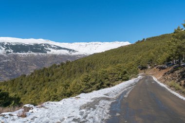 Güney İspanya 'da Sierra Nevada' dan toprak yol, ağaçlar ve çalılar var, yerde kar var, gökyüzü açık.