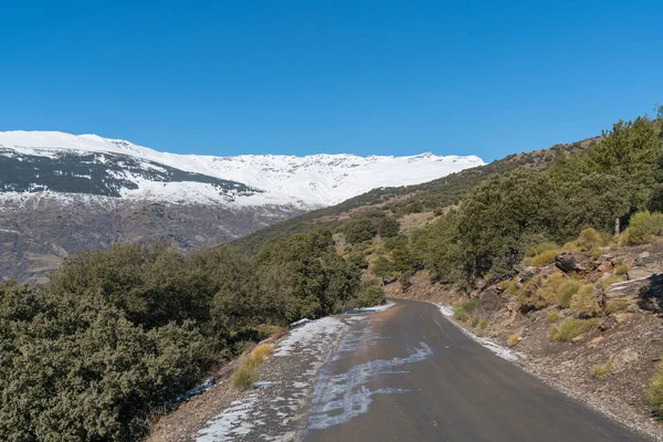 Camino Tierra Desde Sierra Nevada Sur España Hay Árboles Arbustos — Foto de Stock