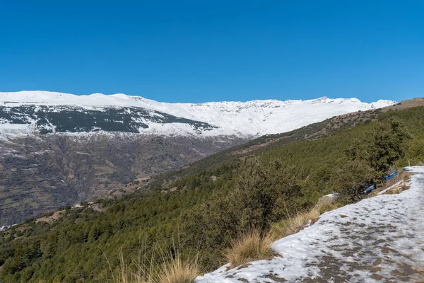 Sierra Nevada karla kaplı, ağaçlar var, dağların zirveleri dik, gökyüzü açık