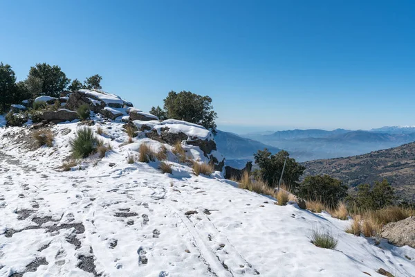 Sierra Nevada Cubierta Nieve Hay Árboles Arbustos Una Zona Montañosa — Foto de Stock