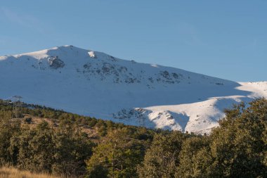 Güney İspanya 'daki Sierra Nevada dağı, kar ve çam ormanı var, yüksek voltaj hattı geçiyor ve gökyüzü açık.