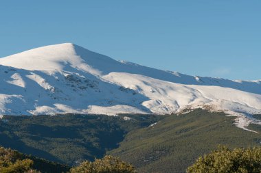 Güney İspanya 'da Sierra Nevada dağı, kar ve çam ormanı var, çalılar var ve gökyüzü açık.