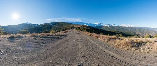 Güney İspanya 'da Sierra Nevada' dan toprak yol, kar ve çam ormanı var, çalılar var ve gökyüzü açık.