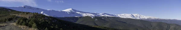 Güney İspanya 'da Sierra Nevada dağı, kar ve çam ormanı var, çalılar var ve gökyüzü açık.