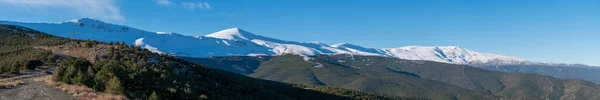 Sierra Nevada Sur España Hay Nieve Bosque Pinos Hay Arbustos — Foto de Stock