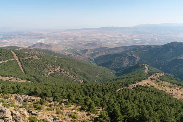 Sierra Nevada 'daki dağ manzarası, bir çam ormanı ve bir yangın kırığı, birkaç yüksek voltaj kolonu var, gökyüzü temiz.