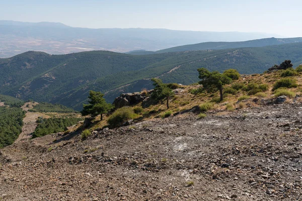 Sierra Nevada 'daki dağ manzarası, bir çam ormanı ve bir yangın kırığı, birkaç yüksek voltaj kolonu var, gökyüzü temiz.