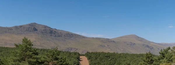 Sierra Nevada 'nın dağlık arazisi, bir çam ormanı ve bir yangın çıkışı var, gökyüzü açık.