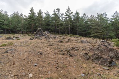 İspanya 'nın güneyindeki Sierra Nevada dağında çam ağaçları, bir çam ormanı, kayalar ve taşlar, çalılar ve gökyüzünde bulutlar var.