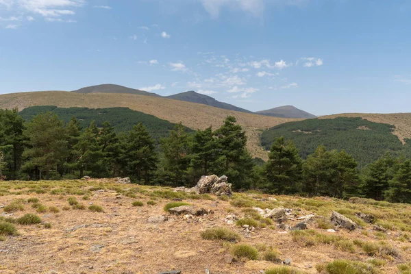 Krajobraz Górski Sierra Nevada Jest Las Sosnowy Niebo Chmurę — Zdjęcie stockowe