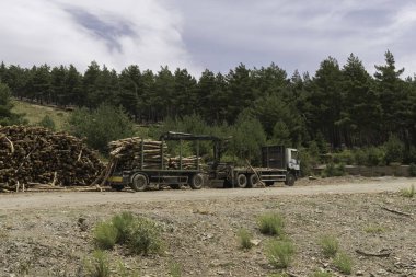 Sierra Nevada 'da tahta çubuklar taşıyan bir kamyon, kamyonun bir römorku var, bir yığın tahta çubuk var, bir çam ormanı var, gökyüzünde bulutlar var.
