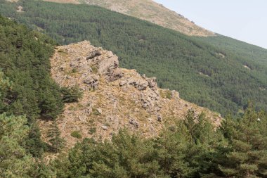 Sierra Nevada 'daki dağ manzarası, bir çam ormanı var, kaya oluşumları var, gökyüzünde bulutlar var.